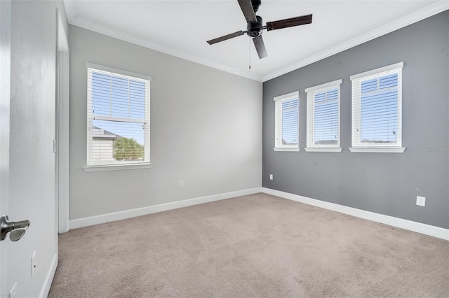 unfurnished room featuring ceiling fan, baseboards, crown molding, and carpet