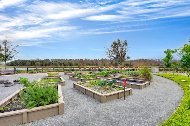 view of property's community with a vegetable garden