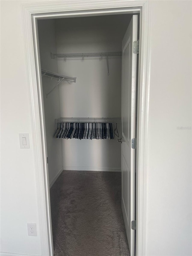 spacious closet with carpet floors