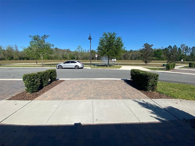 view of road featuring street lights and driveway