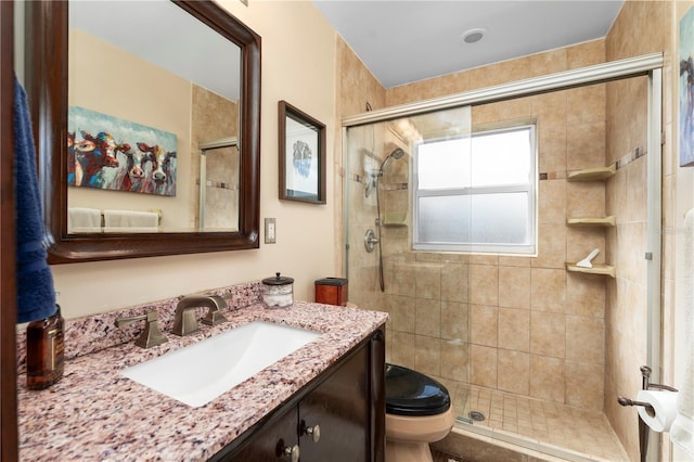 bathroom with toilet, a stall shower, and vanity