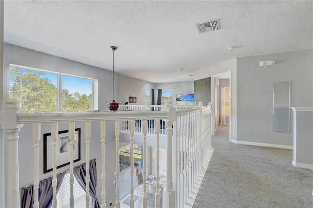 1028 Orange Cosmos Blvd, Davenport, FL 33837 - hallway featuring plenty of natural light, carpet, a textured ceiling, and an upstairs landing