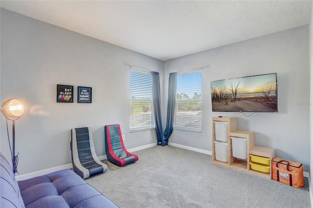 1028 Orange Cosmos Blvd, Davenport, FL 33837 - sitting room with carpet and baseboards