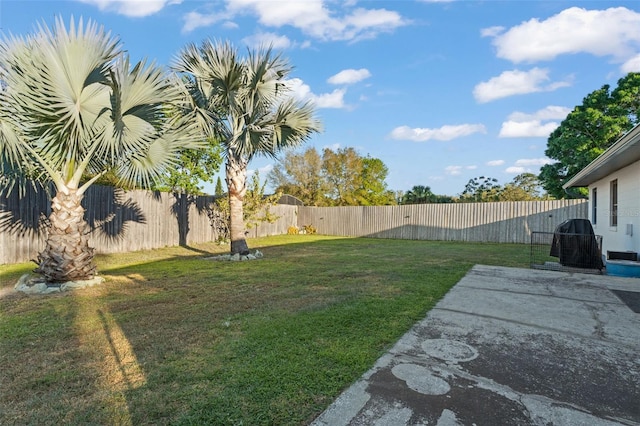 view of yard with a patio area and a fenced backyard