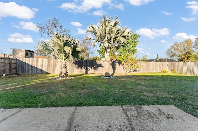 view of yard featuring a fenced backyard