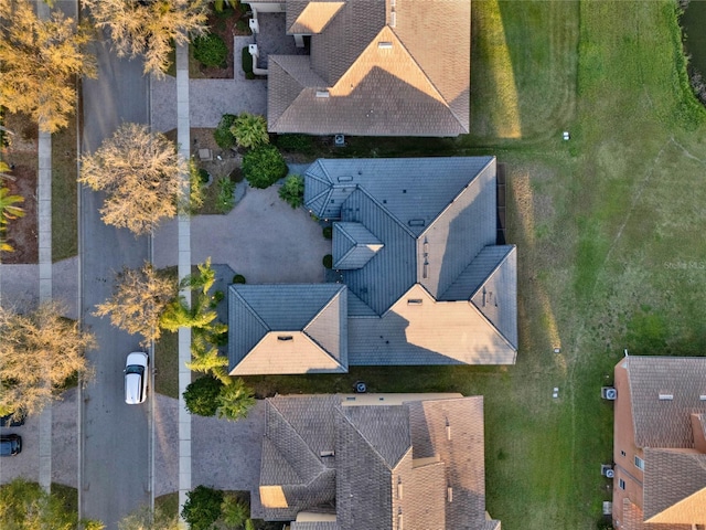 bird's eye view