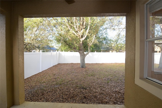 view of yard with a fenced backyard