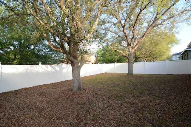 view of yard with a fenced backyard