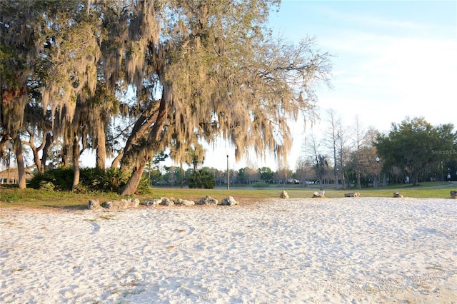 view of surrounding community