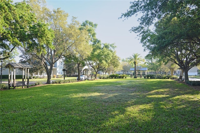 view of home's community with a yard