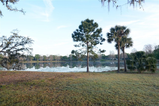 view of water feature