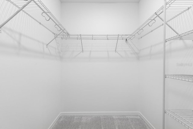 walk in closet with carpet