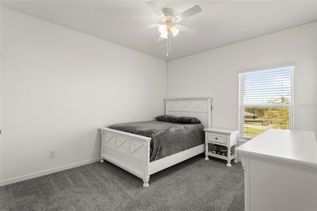 417 Ironside Trail Dr, Groveland, FL 34736 - photo 27