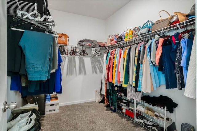 spacious closet with carpet floors