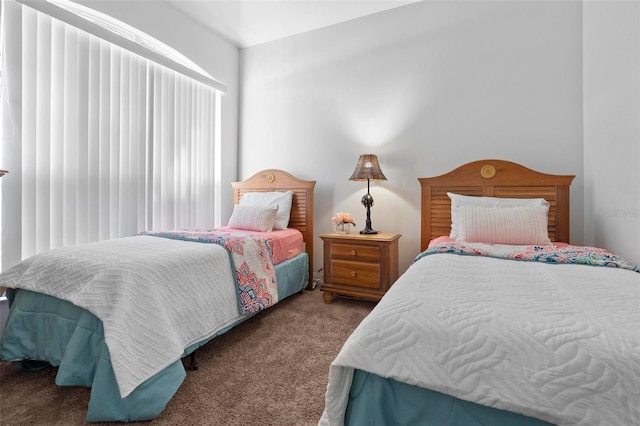 bedroom with carpet floors