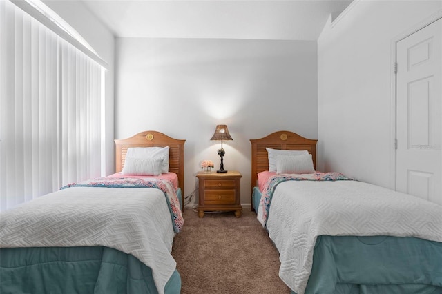 bedroom with carpet floors