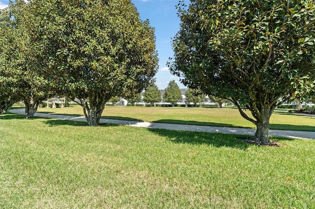 view of home's community featuring a yard