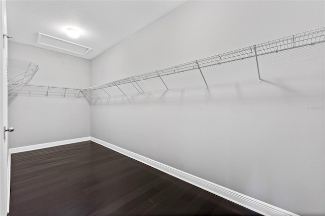 spacious closet with attic access and dark wood-style flooring