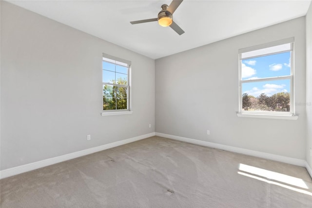 unfurnished room featuring plenty of natural light, carpet floors, and ceiling fan