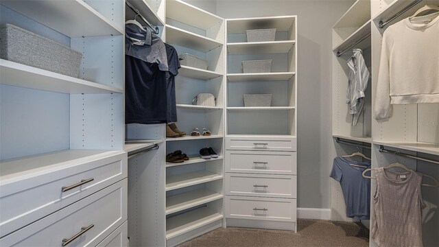 walk in closet with carpet floors