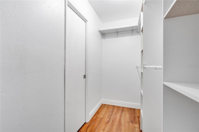 spacious closet featuring wood finished floors