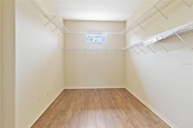 spacious closet with light wood finished floors