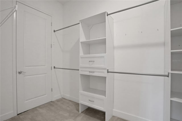 spacious closet featuring light carpet