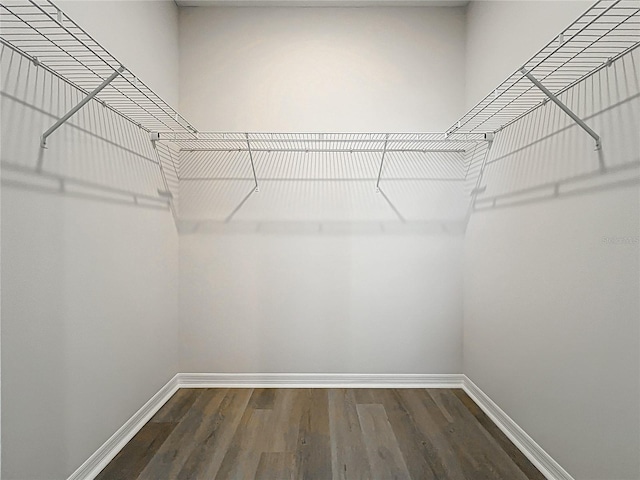 walk in closet featuring wood finished floors