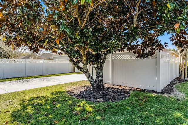 view of yard with a fenced backyard