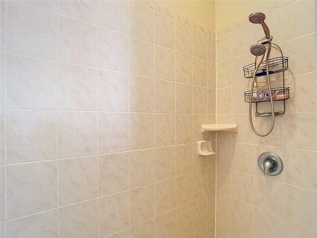 interior details featuring a tile shower