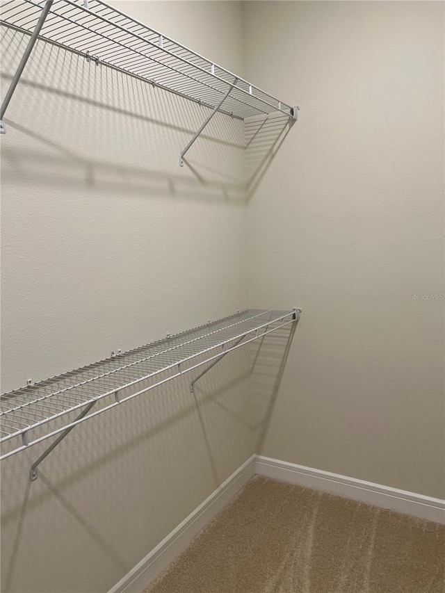 walk in closet with carpet flooring