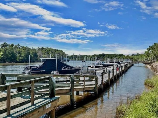 dock area featuring a water view