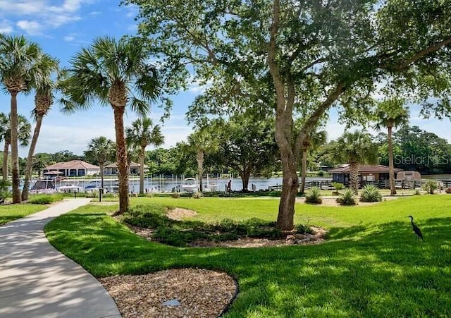 view of community with a water view and a lawn