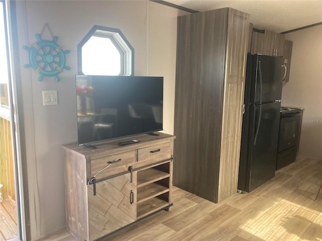 living room featuring light wood-style floors