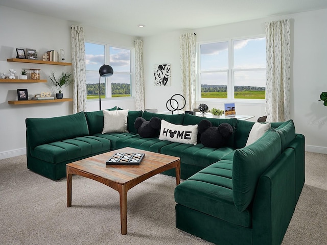 living area featuring baseboards and carpet floors