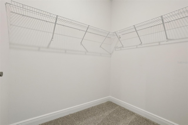 16354 Silver Grove Blvd, Winter Garden, FL 34787 - spacious closet with carpet floors