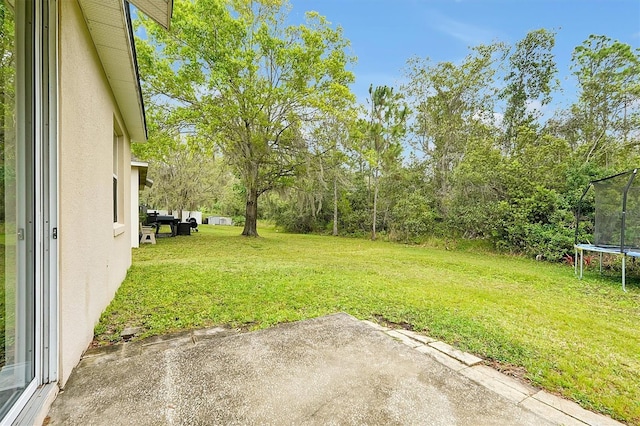 view of yard with a patio area and a trampoline