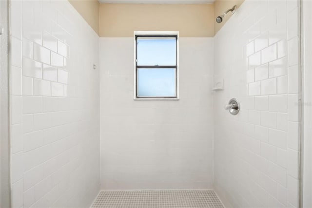 full bathroom with a tile shower