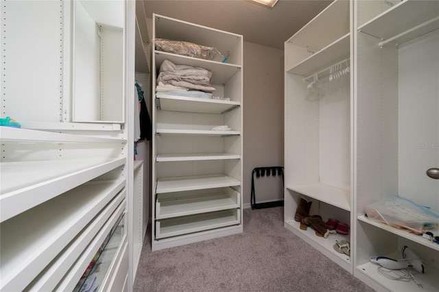 spacious closet with carpet