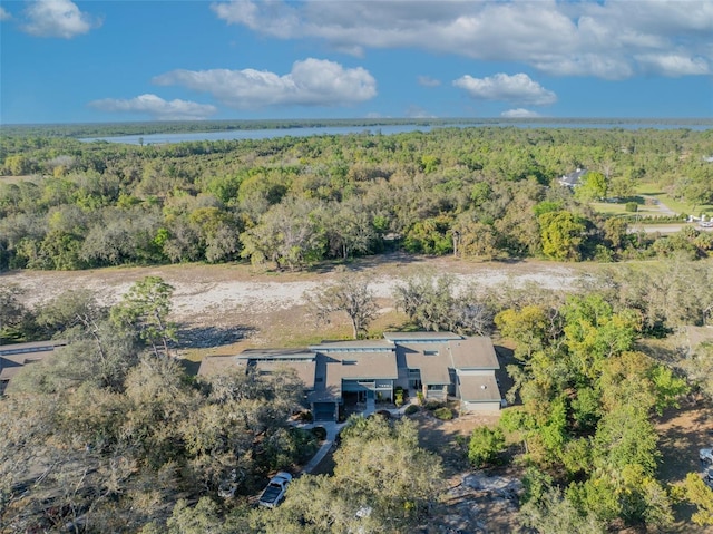 drone / aerial view featuring a view of trees and a water view