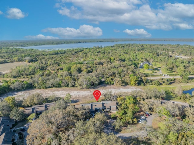 aerial view with a view of trees and a water view