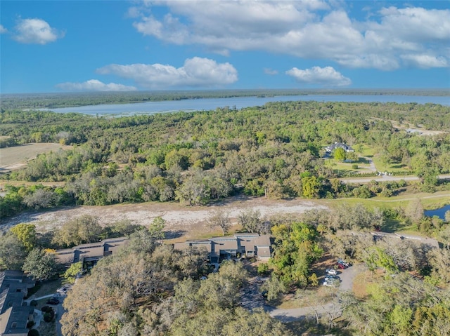 drone / aerial view with a view of trees and a water view