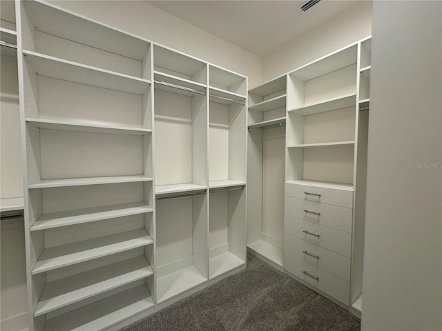 spacious closet featuring dark colored carpet and visible vents