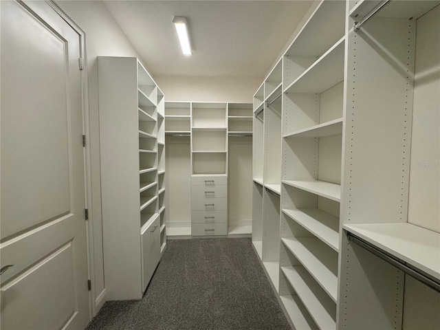 walk in closet featuring dark colored carpet