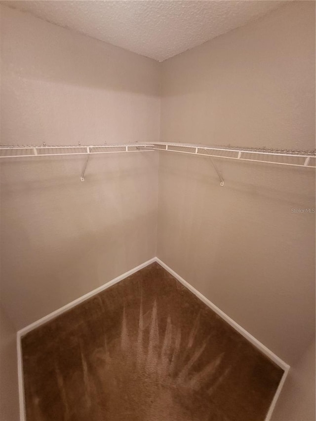 walk in closet with dark carpet