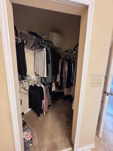 walk in closet featuring carpet floors