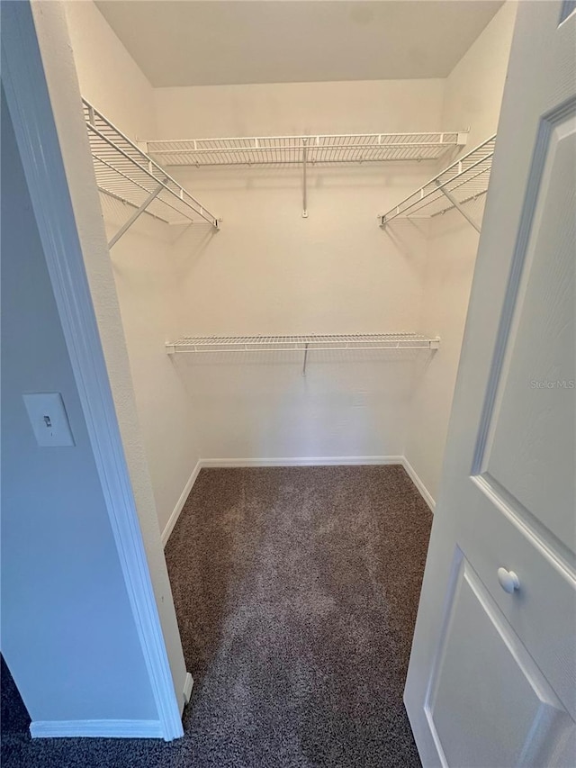 spacious closet with carpet flooring