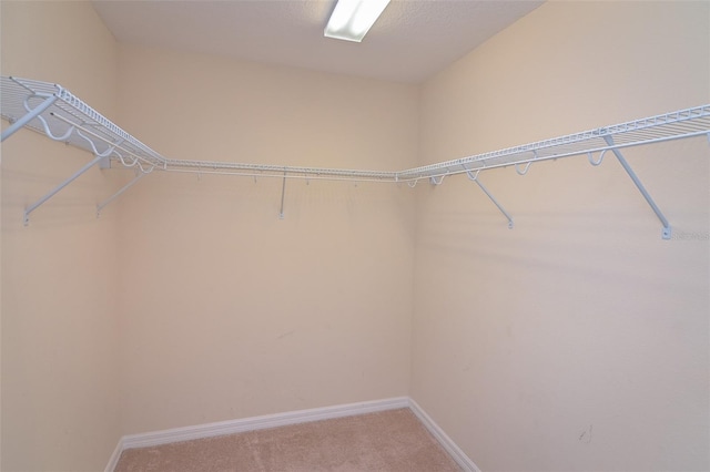 spacious closet featuring light colored carpet