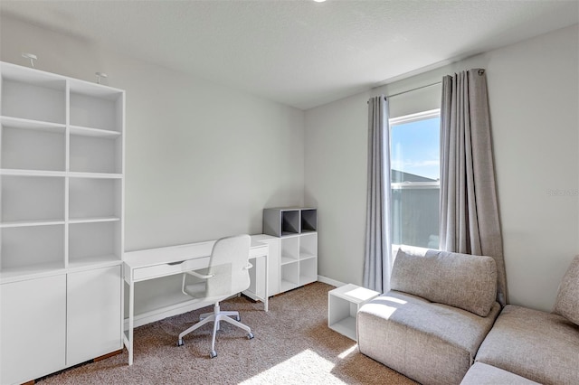 office featuring carpet and a textured ceiling