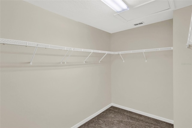 spacious closet featuring visible vents, attic access, and dark carpet